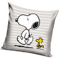 Linge de maison sur Grenoble : Coussins Peanuts AG3575 Gris Unique. . Maison & D&eacute;co > Coussins.
