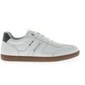 Baskets basses Armata Di Mare LOWSNEAKER611