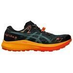Chaussures Asics Fuji Lite 5