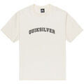 Tee-shirts sur Grenoble : T-shirt Quiksilver Pto Fare Well
