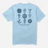T-shirt Salty Crew Coral head ss tee