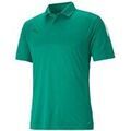 Polos sur Grenoble : Polo Puma 65725705