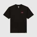 Tee-shirts sur Grenoble : T-shirt Dickies Dk0a87qdblk1