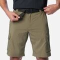 Shorts/Bermuda sur Grenoble : Short Columbia Silver Ridge Utility Car