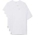 Tee-shirts sur Grenoble : T-shirt Lacoste 3 Pack Lounge Cotton T-Shirts White/White/White