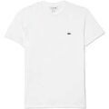 Tee-shirts sur Grenoble : T-shirt Lacoste Cotton Pima Crew Neck T-Shirt White