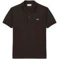 Tee-shirts sur Grenoble : T-shirt Lacoste Classic Fit Polo Shirt Brown