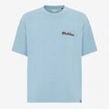 Tee-shirts sur Grenoble : T-shirt Dickies Slayden Gd