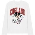 Tee-shirts sur Grenoble : T-shirt Disney England