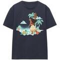 Tee-shirts sur Grenoble : T-shirt Disney Flat Island
