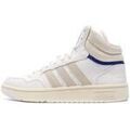 Baskets homme sur Grenoble : Baskets montantes adidas Hoops