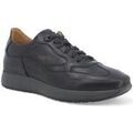 Baskets homme sur Grenoble : Baskets Melluso U16252D
