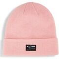 Chapeaux sur Grenoble : Chapeau Puma 021739