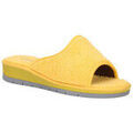 Chaussons / Pantoufles sur Grenoble : Chaussons Grunland CI1317-G7