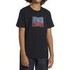 T-shirt DC Shoes DC Star Inline
