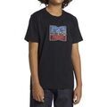 Tee-shirts sur Grenoble : T-shirt DC Shoes DC Star Inline