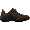 Randonn&eacute;e sur Grenoble : Chaussures Merrell Intercept Marron