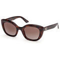 Lunettes sur Grenoble : Lunettes de soleil Guess GU00196 Lunettes de soleil, Havana/Marron, 51 mm