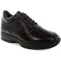 Baskets basses Lumberjack 102217676