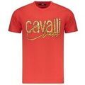 Tee-shirts sur Grenoble : T-shirt Roberto Cavalli txt61mjd060ro020002xl Dor&eacute;