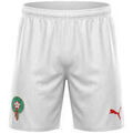 Shorts/Bermuda sur Grenoble : Short Puma Short FRMF Short