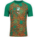 T-shirt Puma Tee-shirt FIF Prematch Grenoble