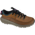 Chaussures Columbia Terrastride BC Marron