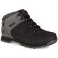 Randonn&eacute;e sur Grenoble : Chaussures Timberland euro sprint Vert