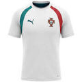 Tee-shirts sur Grenoble : T-shirt Puma Tee-shirt FPF Training jersey
