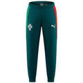 Sportswear sur Grenoble : Jogging Puma Pantalon de surv&ecirc;tement FPF Vert