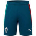Shorts/Bermuda sur Grenoble : Short Puma Homme FPF TRAINING