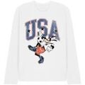 Tee-shirts sur Grenoble : T-shirt Disney USA