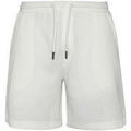 Shorts/Bermuda sur Grenoble : Short Schott Short Short TRCLAY30