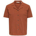 Chemises/chemisettes sur Grenoble : Chemise Only & Sons 193777VTPE26