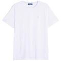 Tee-shirts sur Grenoble : T-shirt TBS Recif