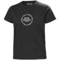 Tee-shirts sur Grenoble : T-shirt Helly Hansen Core Graphic