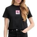 Tee-shirts sur Grenoble : T-shirt Calvin Klein Jeans Classic LV047C864G