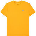 Tee-shirts sur Grenoble : T-shirt Quiksilver Caecilian