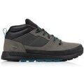 Randonn&eacute;e sur Grenoble : Chaussures Timberland Sprint Trekker Super OX Gris