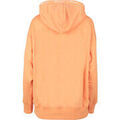 Sweat-shirt Champion Hooded Sweatshirt