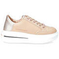 Baskets femme sur Grenoble : Baskets basses Alexander Smith -