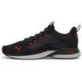 Baskets homme sur Grenoble : Baskets basses Puma 37787114