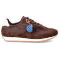 Baskets femme sur Grenoble : Baskets basses Roberto Serpentini -