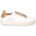 Baskets homme sur Grenoble : Baskets basses Alexander Smith -