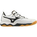 Running sur Grenoble : Chaussures Mizuno Wave Medal Neo