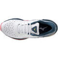 Running sur Grenoble : Chaussures Mizuno Wave Sky 6