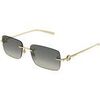 Lunettes de soleil Gucci GG1703S Lunettes de soleil, Or/Gris, 55 mm Dor&eacute;