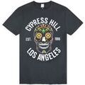 Tee-shirts sur Grenoble : T-shirt Amplified Clothing Cypress Hil T-shirt &agrave; manches courtes Gris