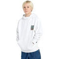Pulls/Sweat sur Grenoble : Sweat-shirt enfant Billabong Foundation Po