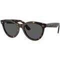Lunettes sur Grenoble : Lunettes de soleil Ray-ban 0RB2241 902/B1 - VOIE